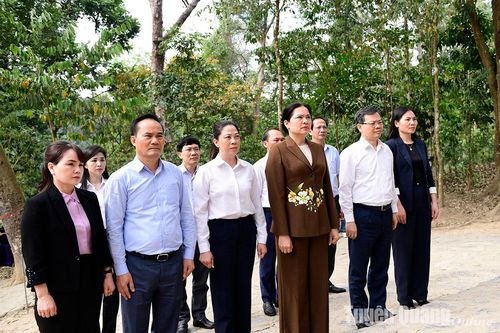Thường trực Tỉnh ủy dâng hương tại Khu di tích Quốc gia đặc biệt Tân Trào