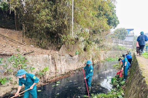 Khơi thông, dọn hàng tấn rác thải ở suối Gò Son