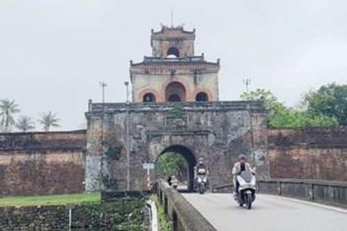 Vừa đẹp vừa cho lợi ích