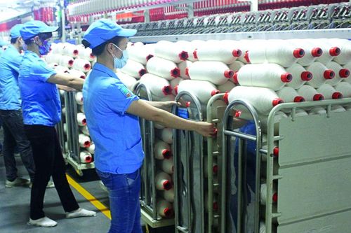 Sợi Thế Kỷ (STK) đặt kỳ vọng vào nhà máy mới, muốn trả cổ tức 45% bằng cổ phiếu