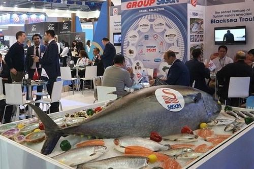 Thủy sản Mekong (AAM) thận trọng đặt mục tiêu 'không lỗ' năm 2025, xin miễn chào mua công khai cho cổ đông lớn