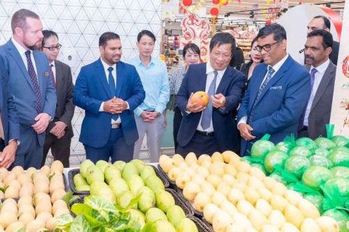 Tận dụng tối đa cơ hội giảm thuế từ Hiệp định CEPA với UAE