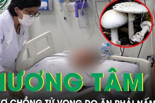 Thương tâm hai vợ chồng tử vong do ăn phải nấm độc hái trong rừng
