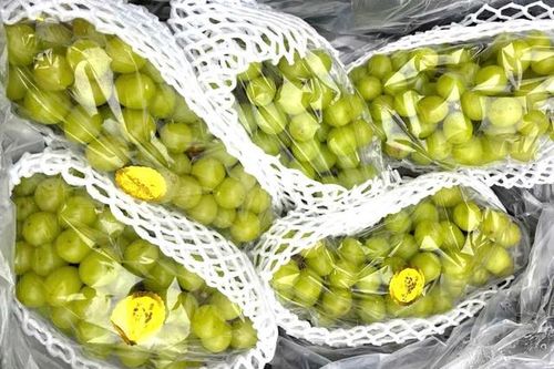 Nho sữa giá rẻ tràn ngập thị trường: Cách nào để tránh mua phải hàng kém chất lượng