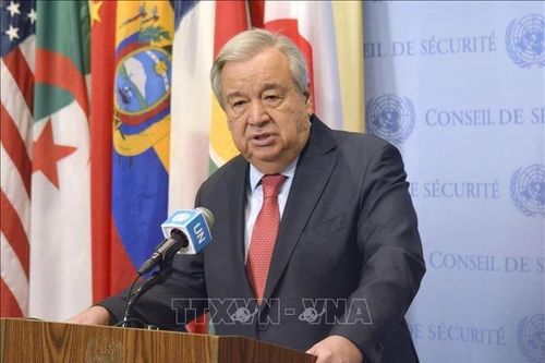 Vì tương lai của người dân Syria