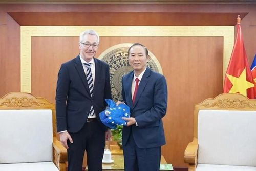 Châu Âu gia tăng xuất khẩu vụn xương thịt vào Việt Nam làm thức ăn chăn nuôi