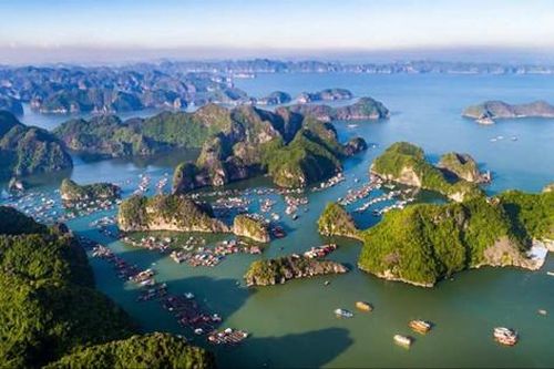 Cú hích hợp tác điện ảnh Việt Nam - Hoa Kỳ