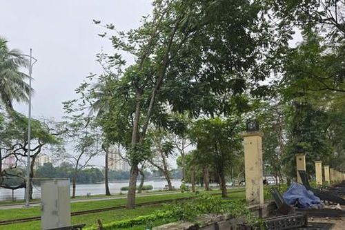 Hà Nội hạ rào công viên Thống Nhất mặt đường Lê Duẩn