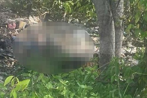 Đi tảo mộ, người dân bàng hoàng phát hiện thi thể nam giới
