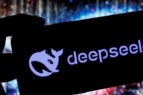 DeepSeek: Từ báu vật quốc gia đến cảnh 'chim lồng, cá chậu'