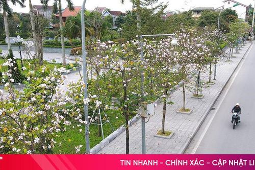 Ảnh hưởng không khí lạnh tăng cường, nhiệt độ Hà Tĩnh thấp nhất 14-16 độ C