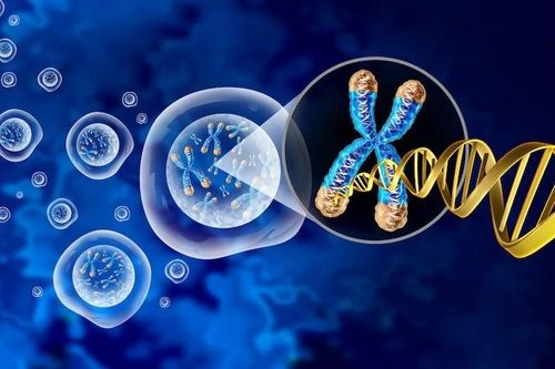 Phát hiện đáng ngạc nhiên mở ra hy vọng ngăn ngừa bệnh ung thư