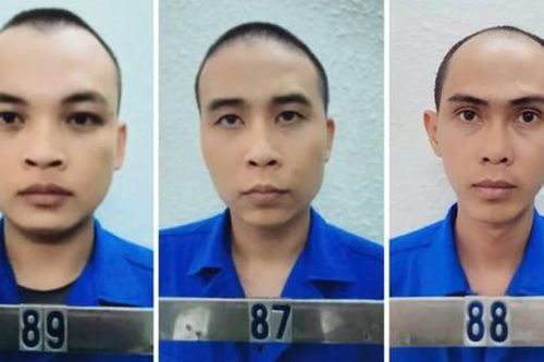 Truy tố 3 đối tượng cất giấu ma túy để sử dụng trong hành trình đi chơi