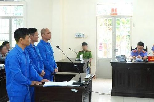 7 năm tù cho giám đốc cầm đầu đường dây pha chế xăng giả