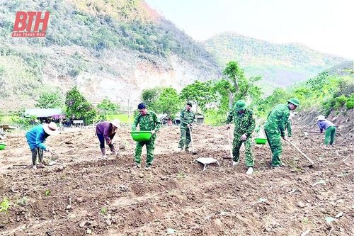 'Cuộc chiến' diệt trừ 'con ma' lá ngón