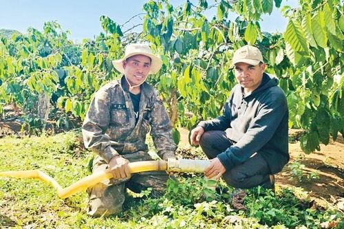 Dân làng chung tay gây quỹ phục vụ cộng đồng
