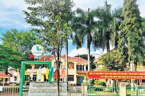 Công ty TNHH một thành viên Cao su Chư Prông