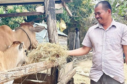 Giã từ 'miền đất hứa'