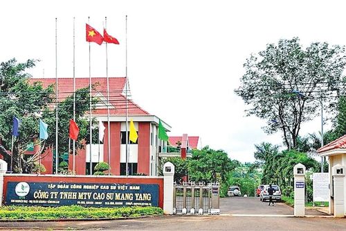 Công ty TNHH một thành viên Cao su Mang Yang chào mừng kỷ niệm 50 năm Ngày giải phóng tỉnh Gia Lai