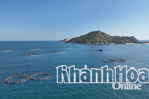 Toàn tỉnh có 23 khu vực phát triển nuôi biển công nghệ cao