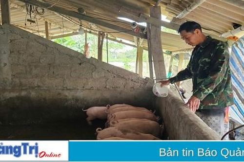 Người dân ngần ngại tái đàn vì lo lợn bị dịch bệnh