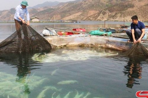 Vùng quê sông nước Liệp Tè