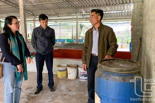 Nông dân 'bắt' vi sinh làm 'chìa khóa vàng' cho nông nghiệp