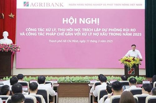 Agribank triển khai đồng bộ giải pháp xử lý, thu hồi nợ