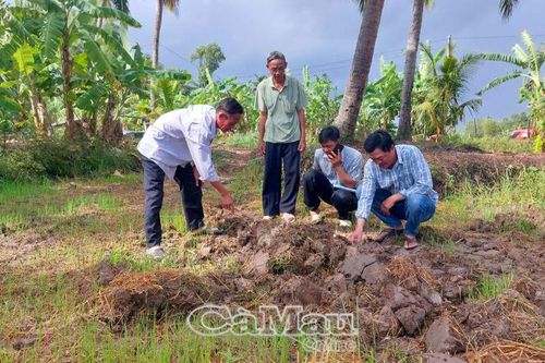 Khó khăn trong khâu cày ải
