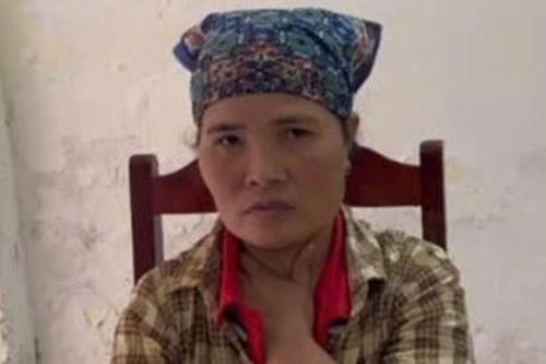 Nữ giúp việc theo giờ trộm 30 triệu đồng của chủ nhà