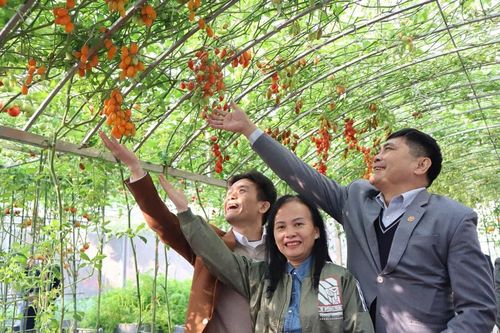 Hà Nội hoàn thành nhiệm vụ xây dựng nông thôn mới cấp thành phố:Thay đổi căn bản khu vực nông thôn Thủ đô
