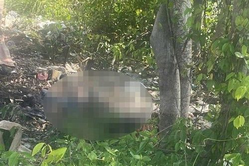 Bàng hoàng phát hiện thi thể nam giới trong nghĩa địa