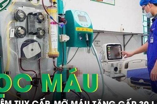 Viêm tụy cấp, mỡ máu tăng 30 lần vì đau bụng nhưng chủ quan không đi khám