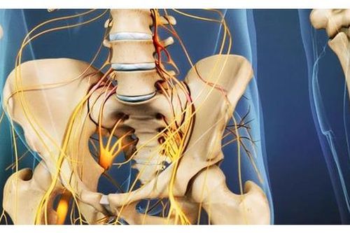 5 câu hỏi thường gặp khi mắc hội chứng đuôi ngựa