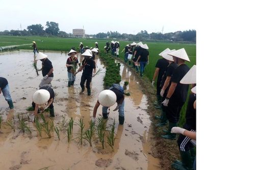 Du lịch xanh ngày càng trở thành xu hướng