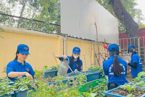 Thanh niên tích cực tham gia tình nguyện xây dựng nông thôn, đô thị văn minh
