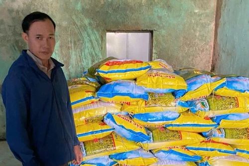 Quảng Nam: Khởi tố đối tượng sản xuất, buôn bán lúa giống giả