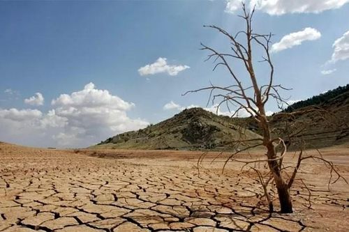 Biến đổi khí hậu và câu chuyện ứng phó từ Việt Nam