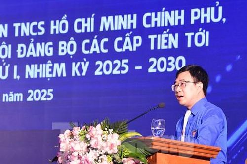 Ra mắt Ban Chấp hành Đoàn TNCS Hồ Chí Minh Chính phủ nhiệm kỳ 2025 - 2027