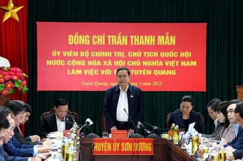 Chủ tịch Quốc hội Trần Thanh Mẫn làm việc với Ban Thường vụ Tỉnh ủy Tuyên Quang