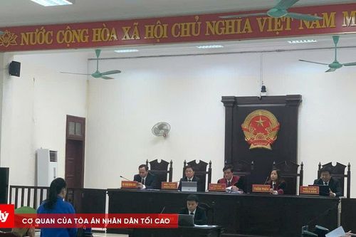 Tàng trữ gần 600g ma túy, người phụ nữ lĩnh án tù chung thân