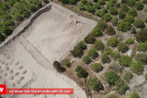 Gia Lai: Cần xử lý nghiêm sự việc hàng nghìn m3 đất bị múc trộm