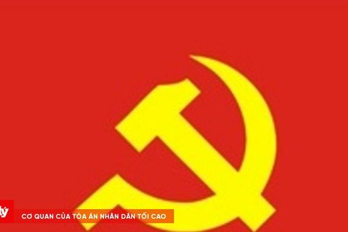 Phó Chánh Văn phòng UBND tỉnh Quảng Trị bị cách tất cả chức vụ trong Đảng