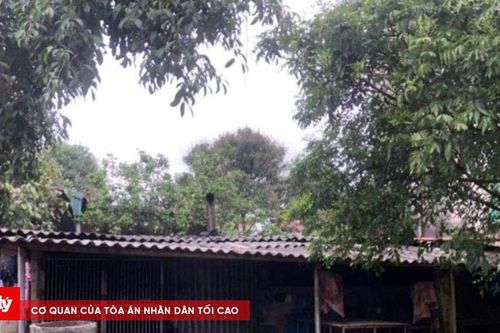 Dừng hoạt động cơ sở giết mổ lợn vì mất vệ sinh môi trường