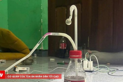 Tổ chức sử dụng ma túy, hai đối tượng lĩnh án