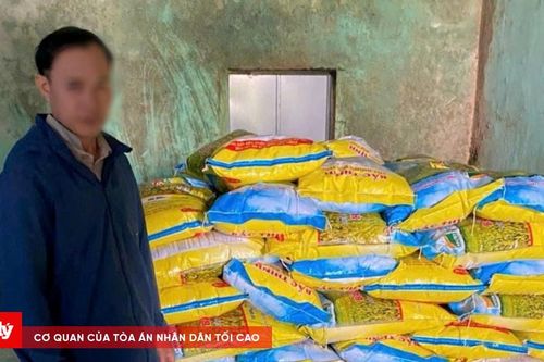 Khởi tố đối tượng sản xuất, buôn bán lúa giống giả