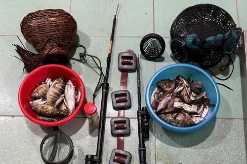 Bắt quả tang 3 đối tượng sử dụng súng bắn điện để đánh, bắt cá