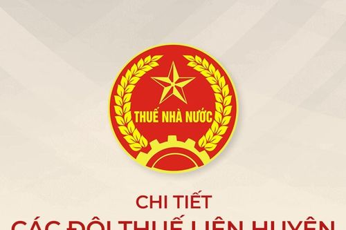 Tên gọi, trụ sở, địa bàn quản lý của các đội thuế liên huyện trên địa bàn Nghệ An