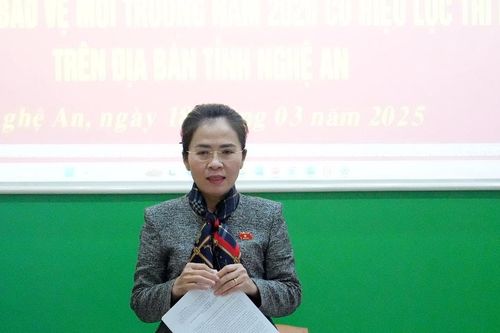 Đoàn đại biểu Quốc hội tỉnh Nghệ An giám sát việc bảo vệ môi trường tại khu công nghiệp Nam Cấm