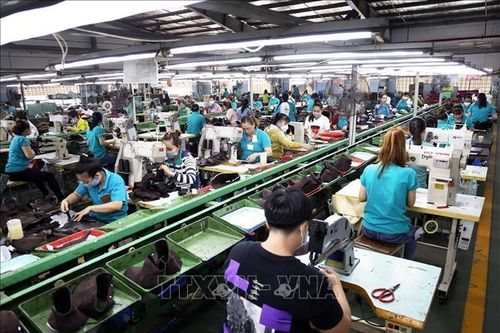 Nhu cầu tuyển dụng trong nước tăng 19% trong 2 tháng đầu năm 2025